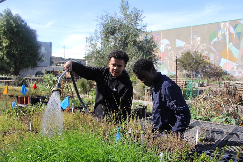 Youth Eco-Apprentice Program - Spring 2019