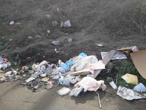 Illegal Dumping - Photo 1