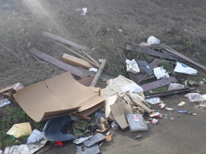 Illegal Dumping - Photo 2