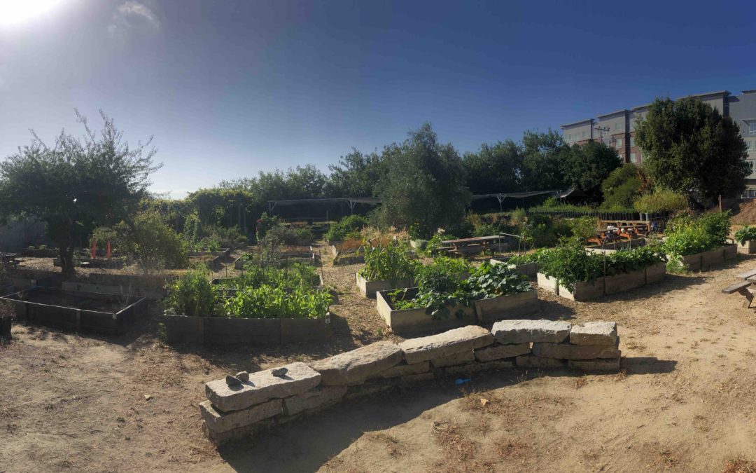 The Native Plant Nursery & Community Garden is Expanding!